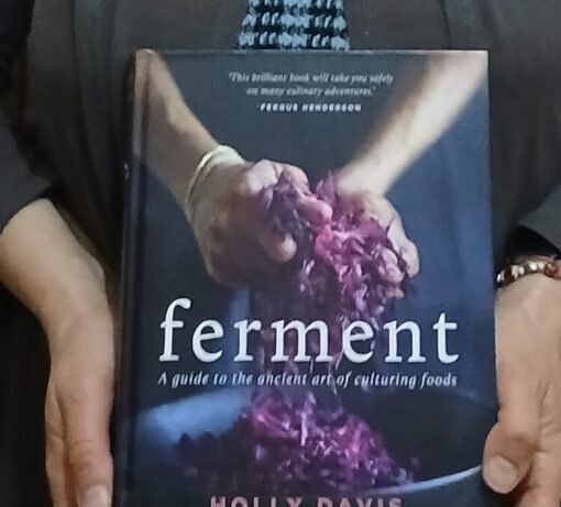 Ferment Book Image Holly Davis Ferment Deeply Deilcious