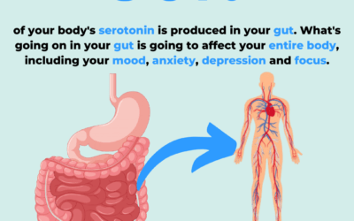 Your Gut-Brain Connection—Made Simple