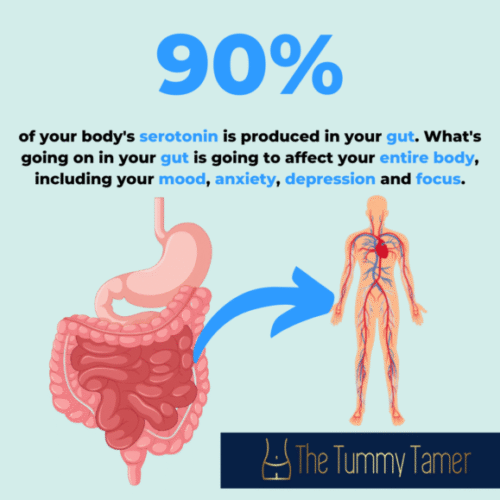 90% of Serotonin is made in the gut