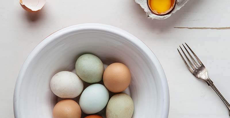 View More: http://melissalove.pass.us/elegant-themes